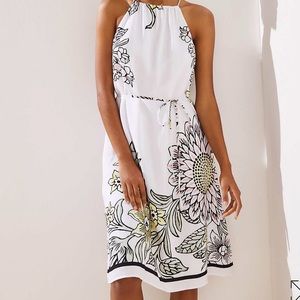 LOFT Garden Halter Swing Dress, size M